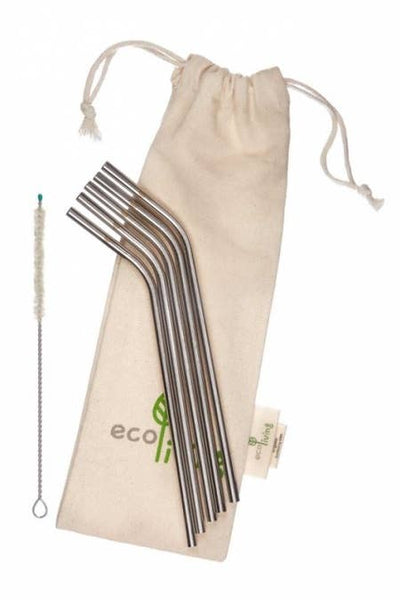 ecoLiving Stainless Steel Drinking Straw - Single
